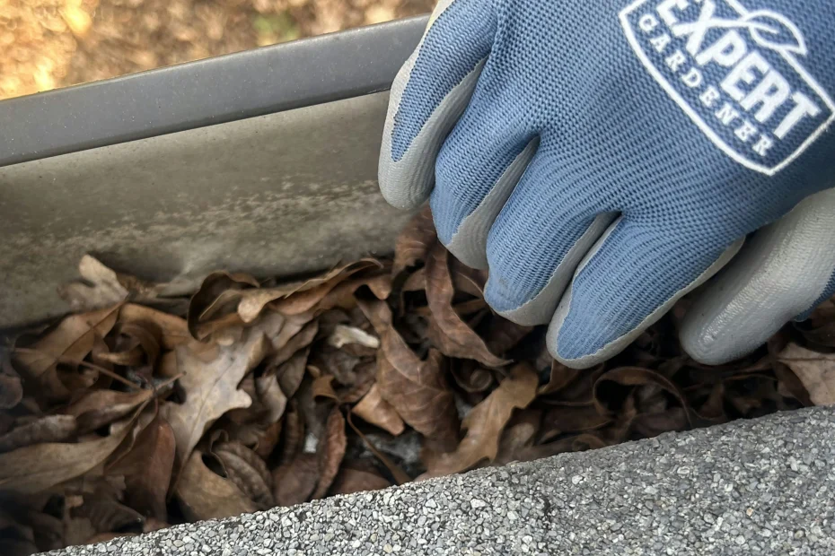 Duncan Gutter Cleaning